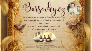 barsovky.cz